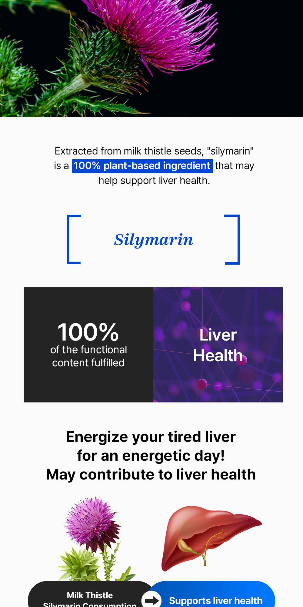 FOODOLOGY Manology Cut PRO milk thistle silymarin liver health support