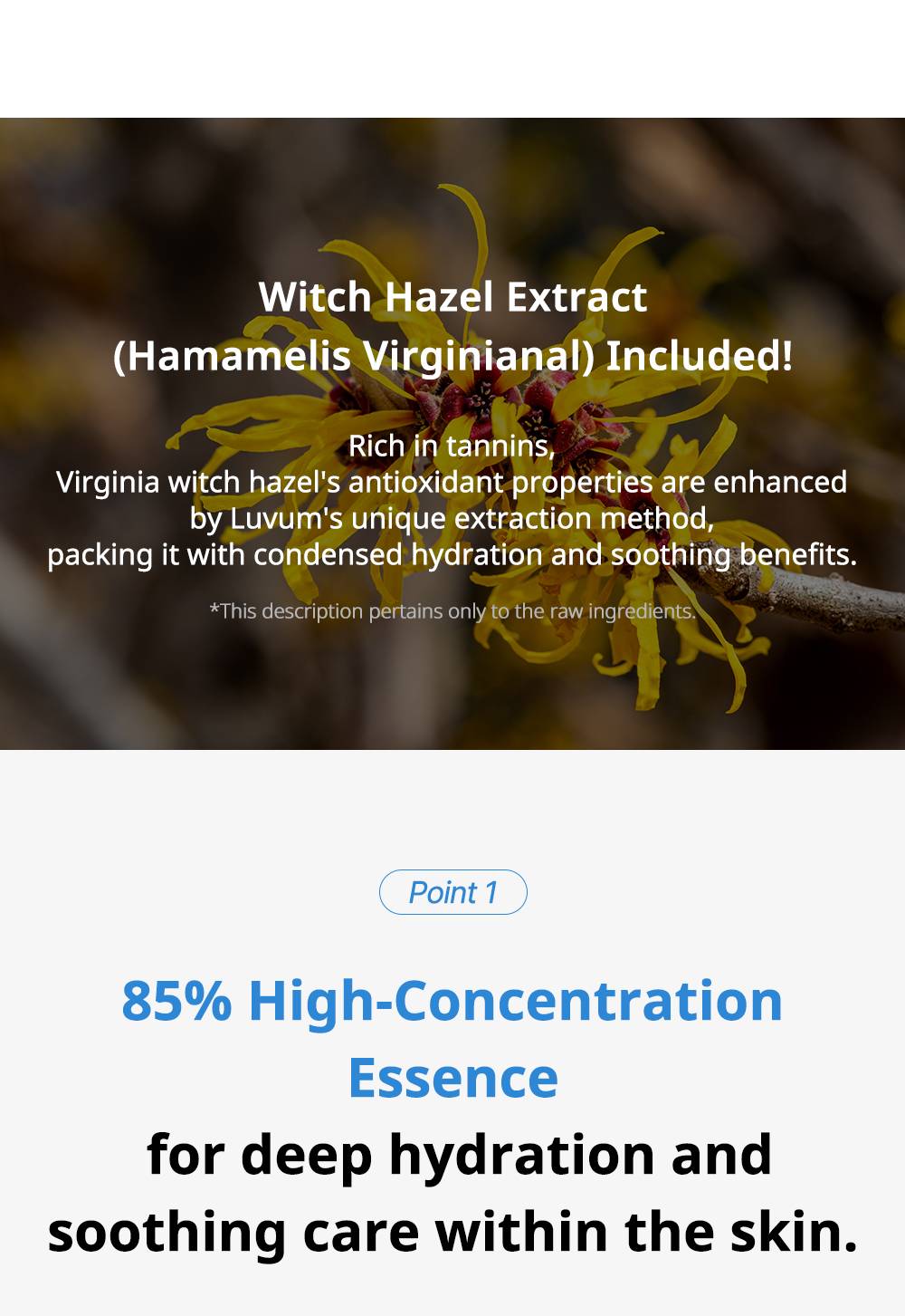 Luvum Witch Hazel Hyaluronic Toner Pad witch hazel extract and 85% essence
