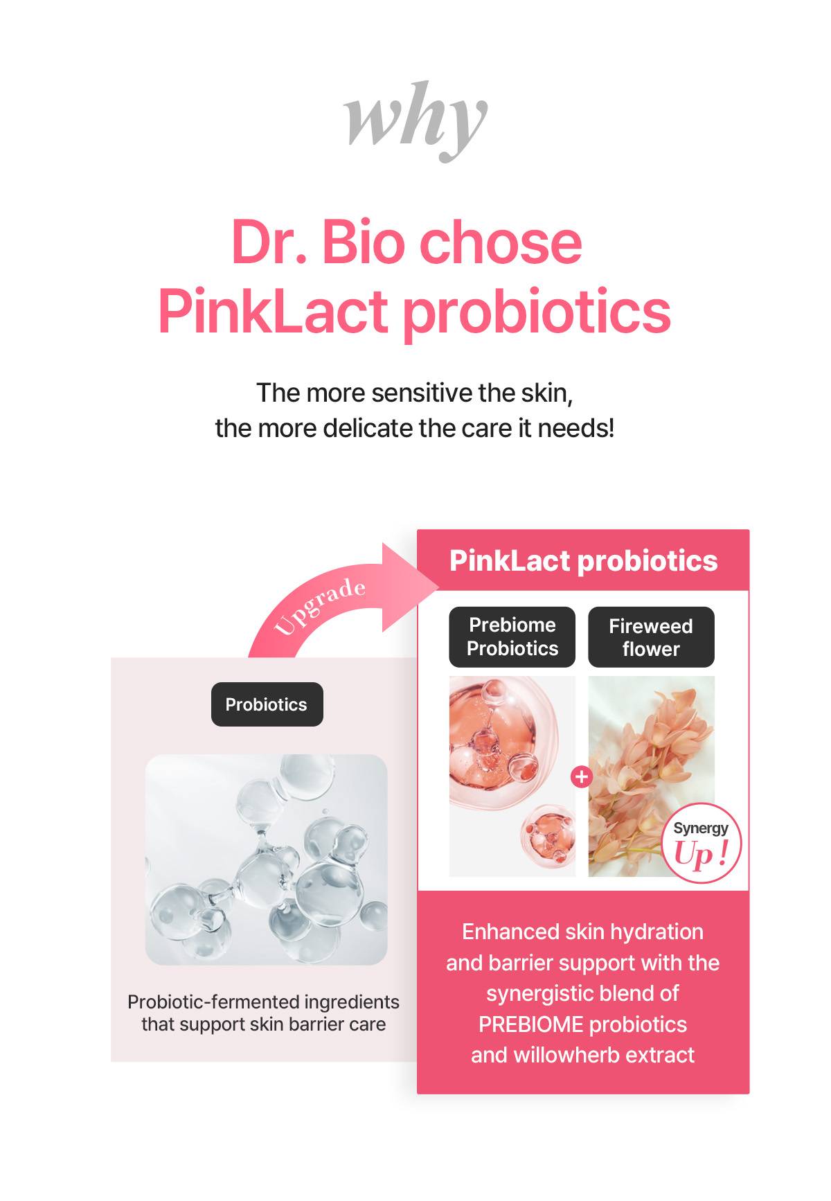 Dr.Bio Berry Jelly Cleansing Gel Foam PinkLact probiotics with prebiome and willowherb extract