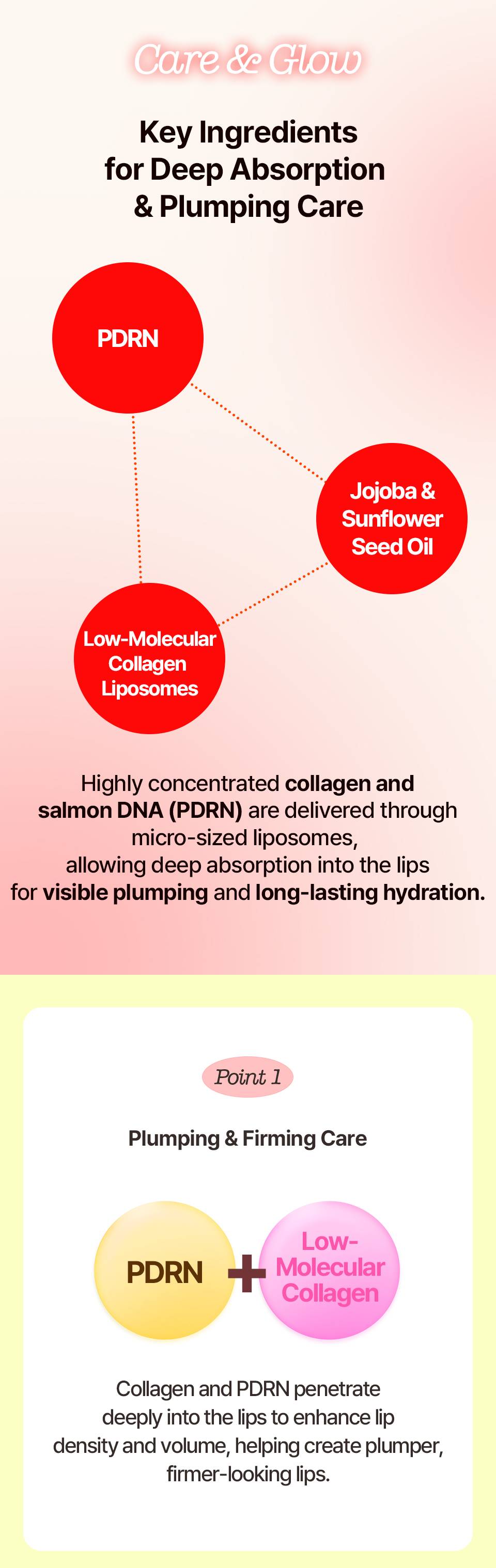 Chaewun Collagen PDRN Plumping Lip Oil key ingredients PDRN collagen liposomes jojoba sunflower seed oil