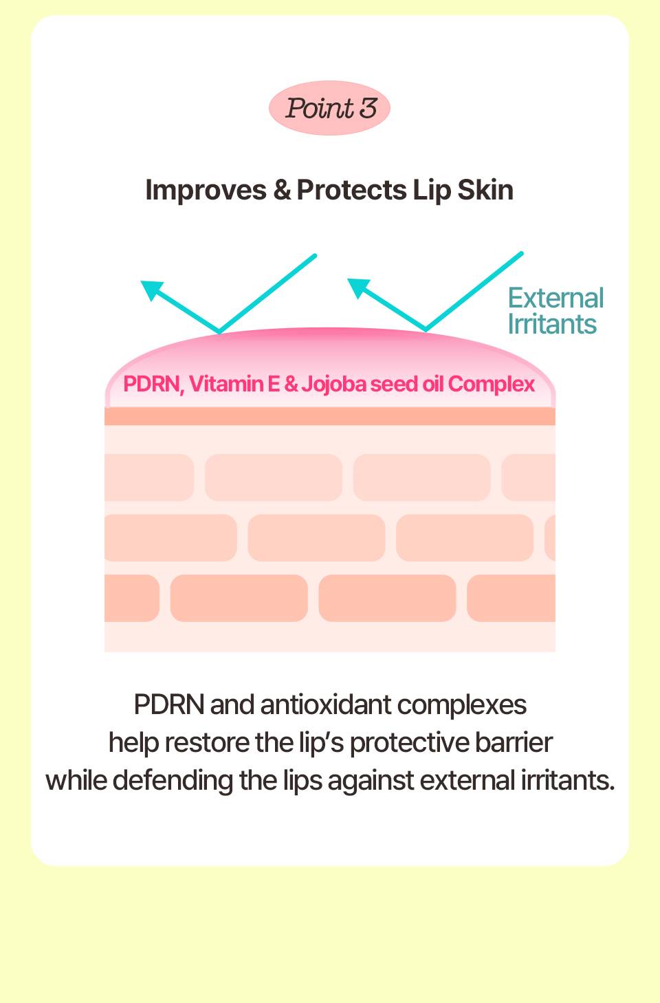 Chaewun Collagen PDRN Plumping Lip Oil point 2 hydration glow barrier texture with vitamin E